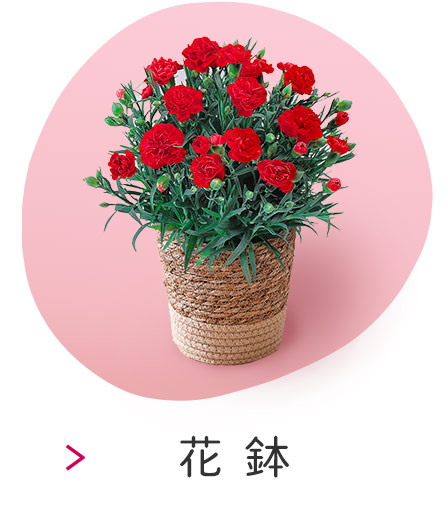 花鉢