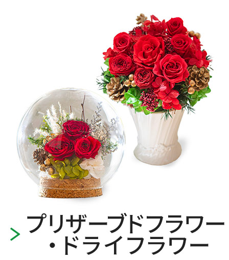 クリスマスに贈る花のプレゼント・ギフト特集2025｜日比谷花壇ヤフー店