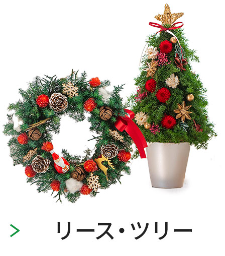 クリスマスに贈る花のプレゼント・ギフト特集2025｜日比谷花壇ヤフー店