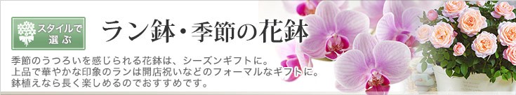 ラン鉢・季節の花鉢