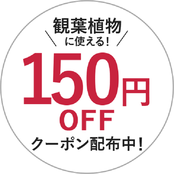 日比谷花壇 PayPayモール店の「観葉植物に使える150円OFFクーポン♪」のクーポン