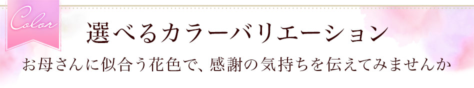 お母さんに似合う花色で、感謝の気持ちを伝えてみませんか