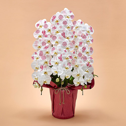 日比谷花壇 ヤフー店 - ラン鉢｜Yahoo!ショッピング