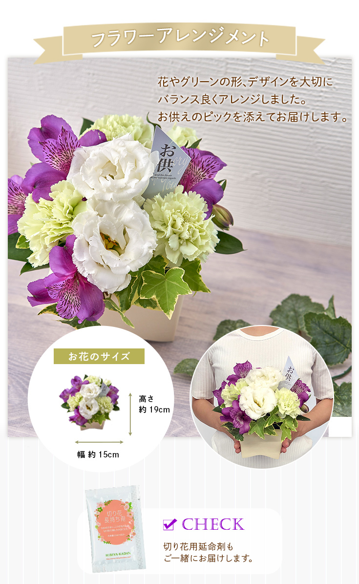 いただける 誕生日 開店祝い 鉢花 日比谷花壇 Paypayモール店 通販 Paypayモール 花 いただける 誕生日 開店祝い 鉢花 日比谷花壇 Paypayモール店 通販 Paypayモール 花