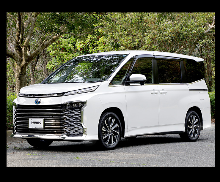 トヨタ サイドプロテクションモール & ガーニッシュ LH トヨタ(純正) ランドクルーザー200 中期 ZX サイドモール の