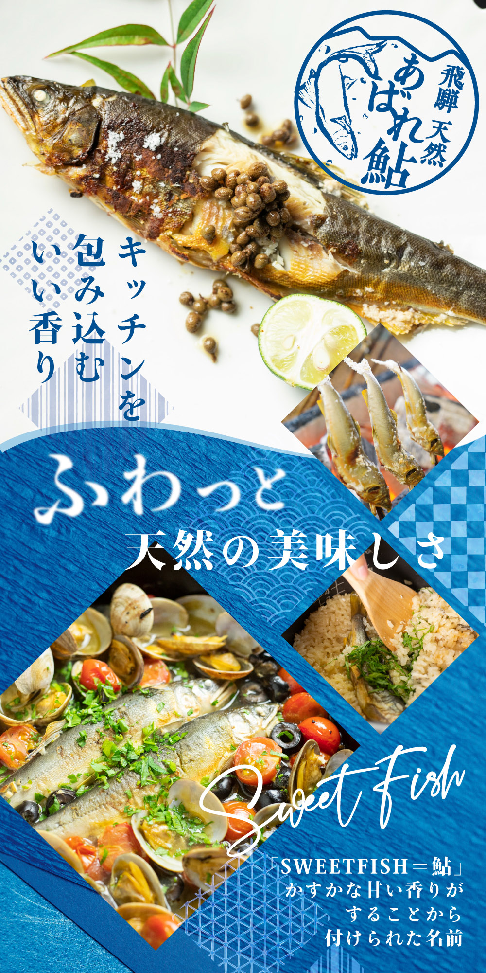 2026年 岐阜 天然鮎 飛騨のあばれ鮎 大サイズ 4尾 (19cm以上) 天然 アユ 鮎 友釣り 取り寄せ 冷凍 岐阜県 室田名人 飛騨 バーベキュー 川 関連画像1