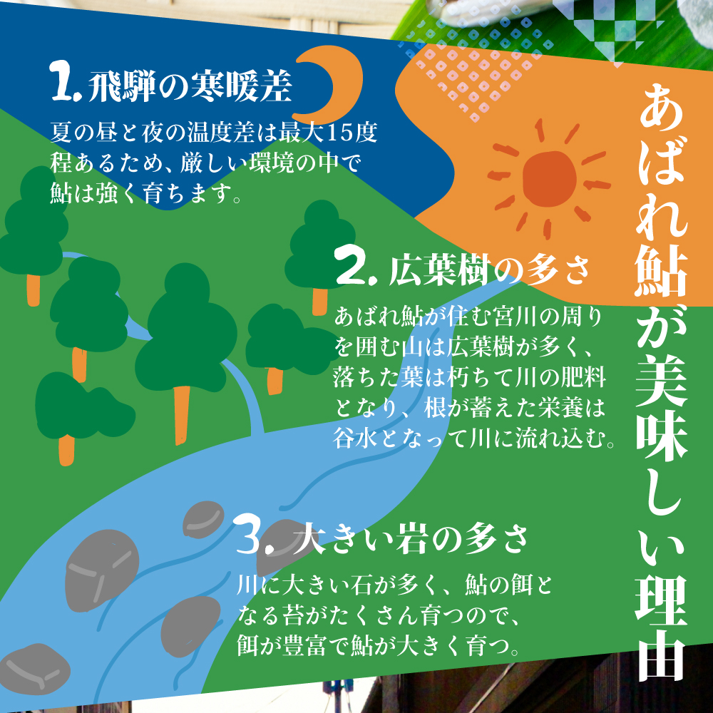 2026年 岐阜 天然鮎 飛騨のあばれ鮎 大サイズ 4尾 (19cm以上) 天然 アユ 鮎 友釣り 取り寄せ 冷凍 岐阜県 室田名人 飛騨 バーベキュー 川 関連画像3