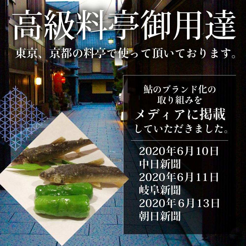 2026年 岐阜 天然鮎 飛騨のあばれ鮎 大サイズ 4尾 (19cm以上) 天然 アユ 鮎 友釣り 取り寄せ 冷凍 岐阜県 室田名人 飛騨 バーベキュー 川 関連画像4