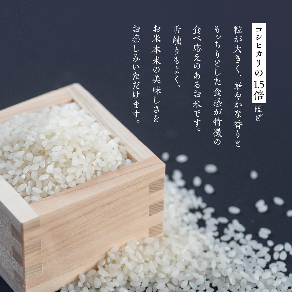 いのちの壱のおすすめ人気商品一覧 通販 - Yahoo!ショッピング