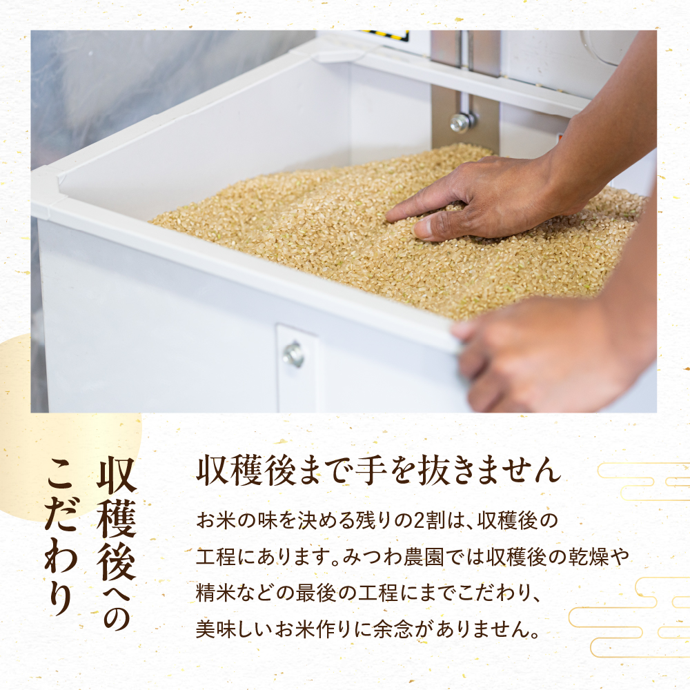 ミルキークイーン お米 10kg 令和7年産 白米 白月（はくげつ） 5kg×2