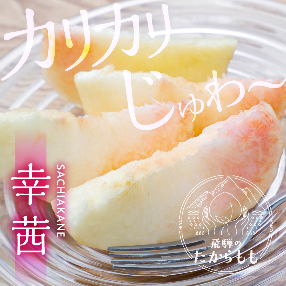 硬い桃 12kg 甘い 2026年の販売は終了しました 硬い桃 幸茜 ギフト 糖度13度以上 4-6玉