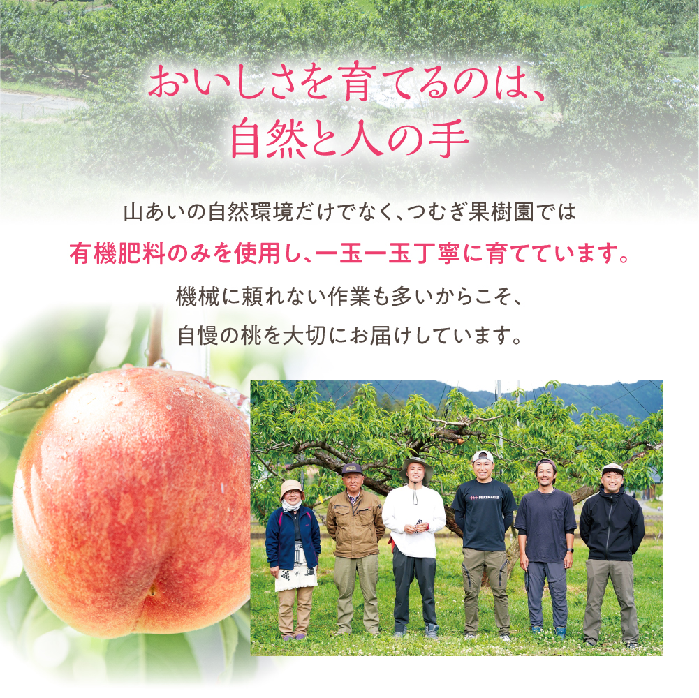 2026年の販売は終了しました 硬い桃 幸茜 ギフト 糖度13度以上 4-6玉