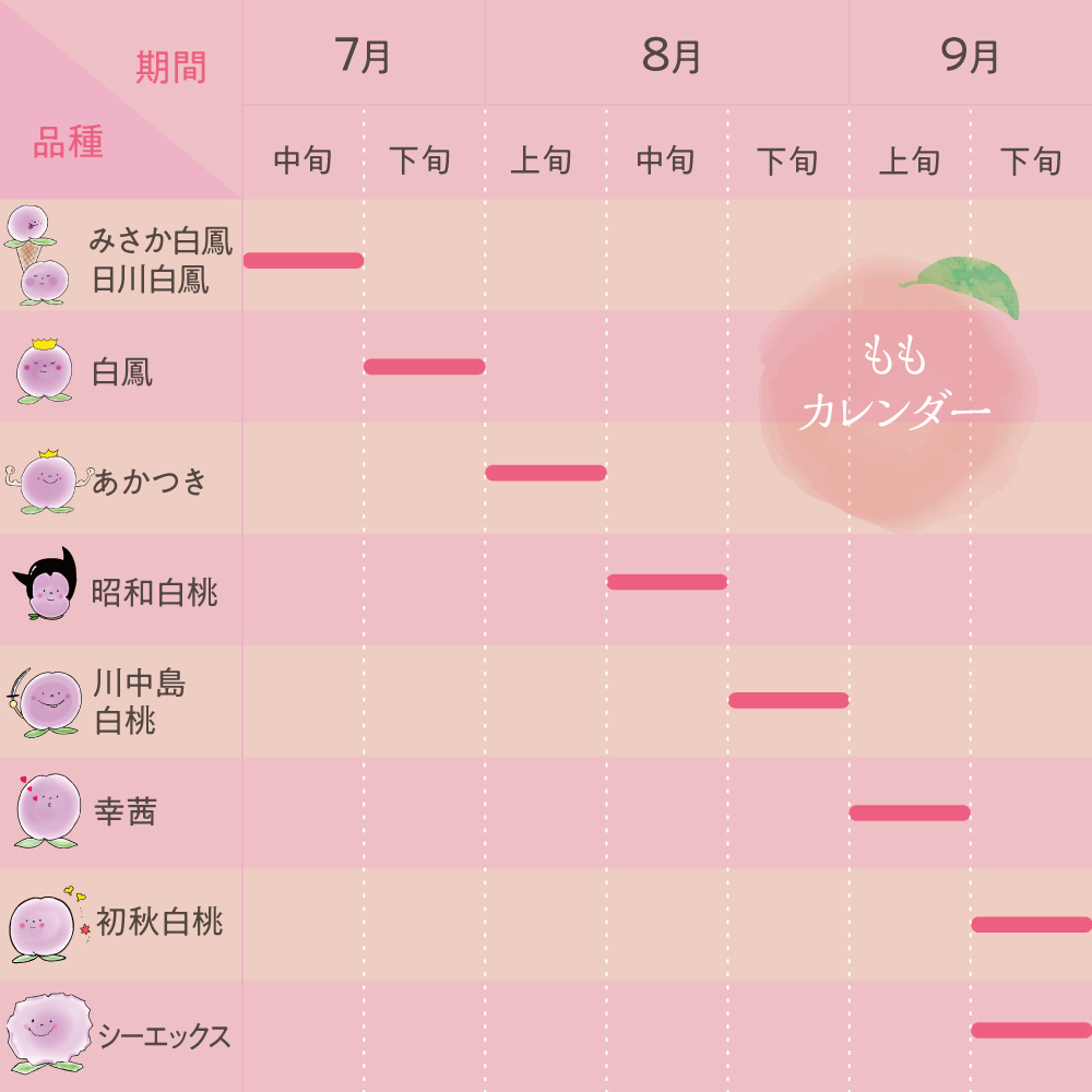 2026年の販売は終了しました 硬い桃 幸茜 ギフト 糖度13度以上 4-6玉