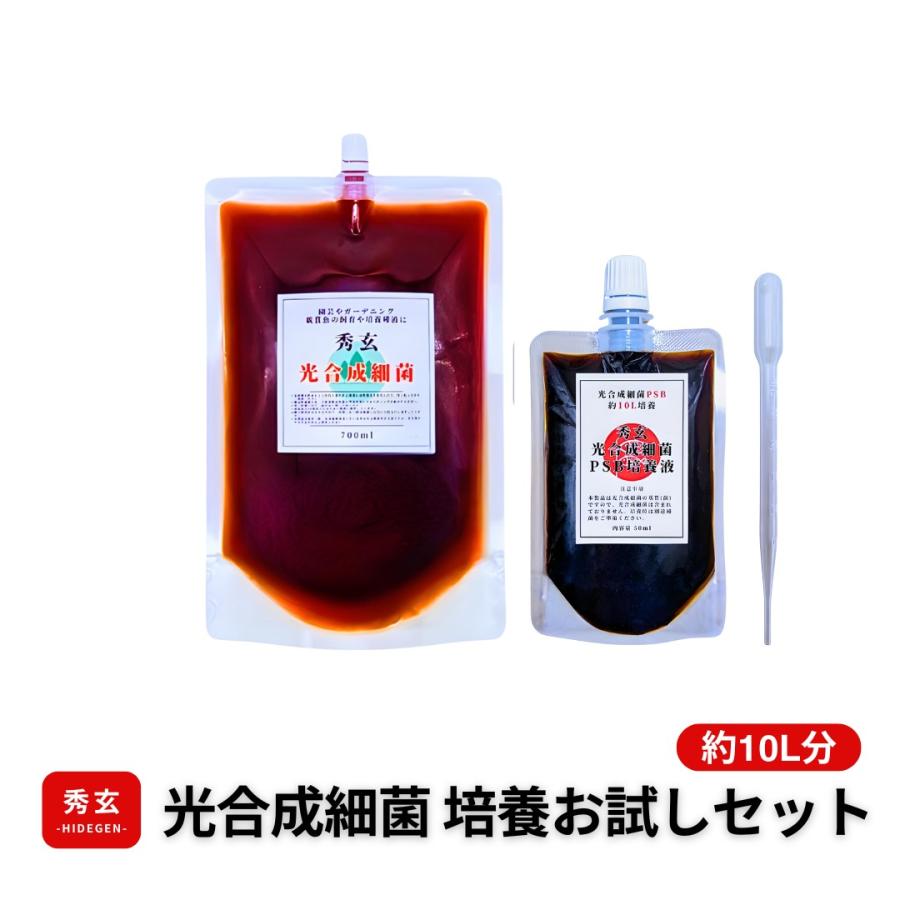 光合成細菌 光合成細菌 | 嶋田敬三, 高市真一 |本 | 通販 | Amazon