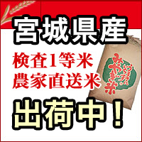 宮城県産検査1等米