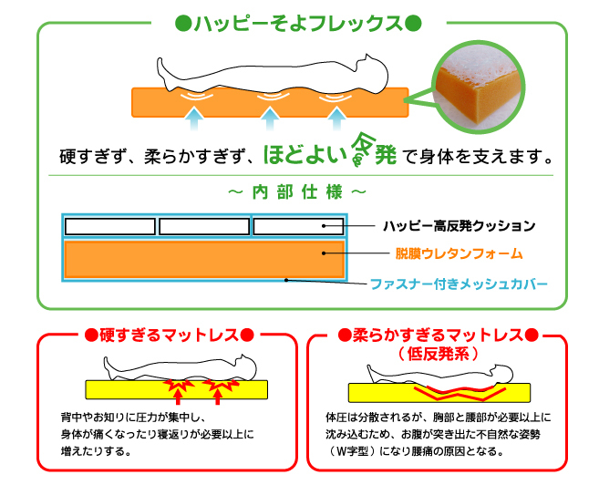 【ヒゲクジラ】ハッピー そよフレックス