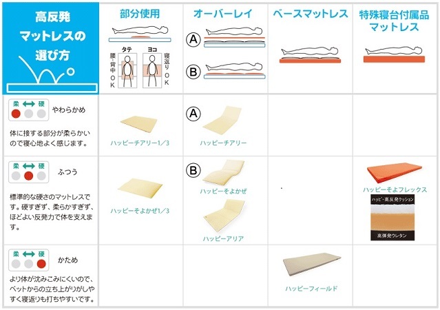 ヒゲクジラ ハッピーおがわ 介護用マット