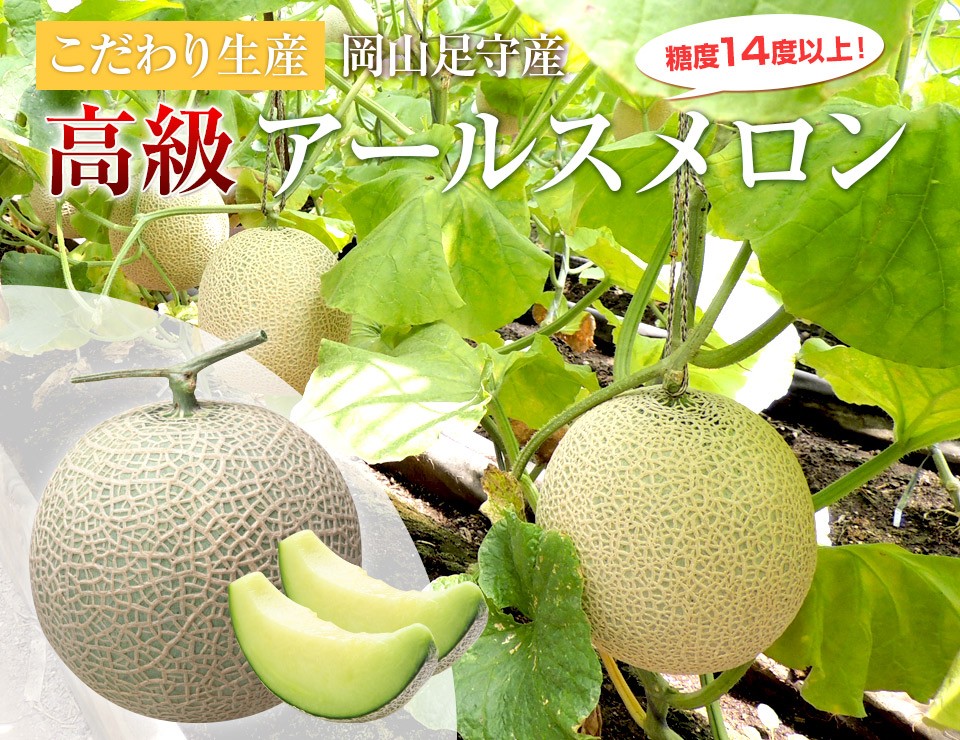 岡山県産 高級アールスメロン 足守メロン 糖度14度以上 L 1玉 産地直送品 送料無料 Melon L1 ハイギフト 通販 Yahoo ショッピング