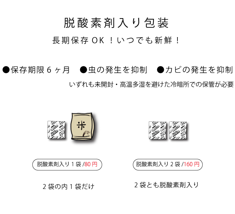 米 お米 10kg 送料無 もり姫 九州産 令和6年産米使用 白米10kg