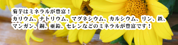 10周年記念イベントが 熊本県産菊芋使用キクイモカプセル90粒入り www.360panorama.be