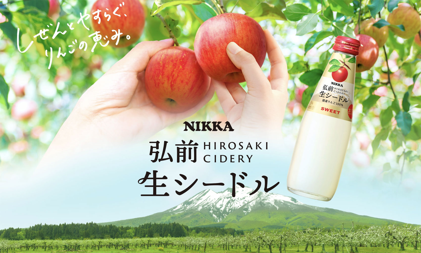 ニッカウヰスキー（NIKKA WHISKY） ニッカ 弘前 生シードル ドライ
