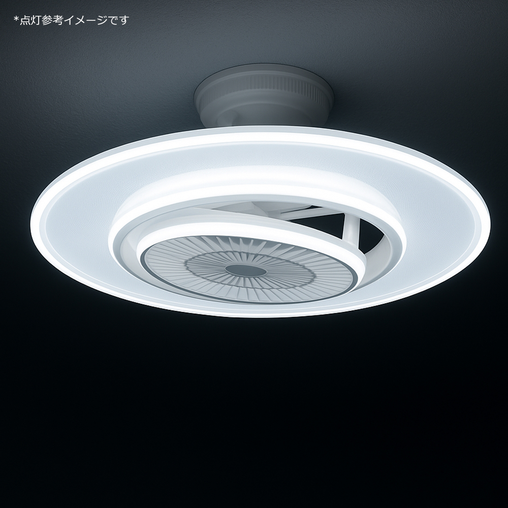 lylf6image1.jpg