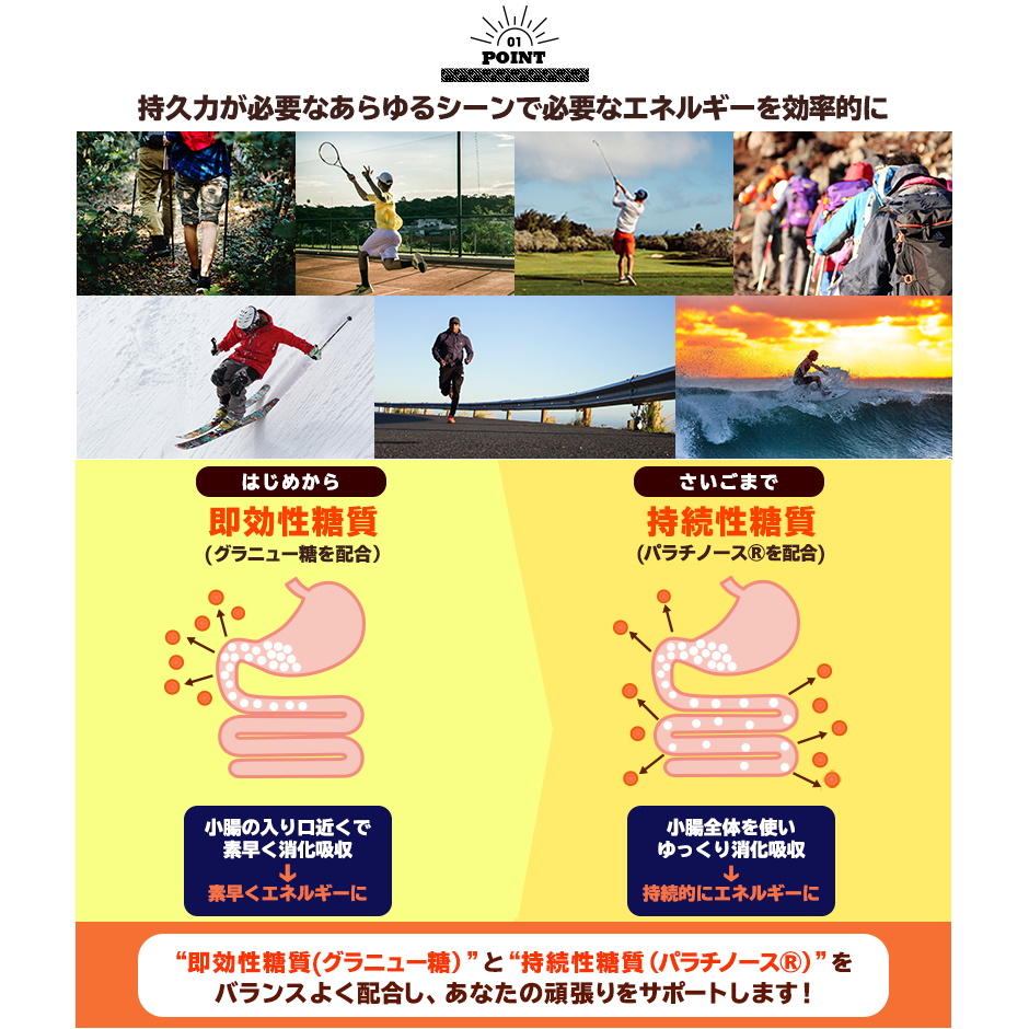 井村屋 imuraya スポーツようかん あずき 40g×10本入 行動食 登山 ランニング アウトドア 64147 YOKO-13-N | 井村屋 | 03