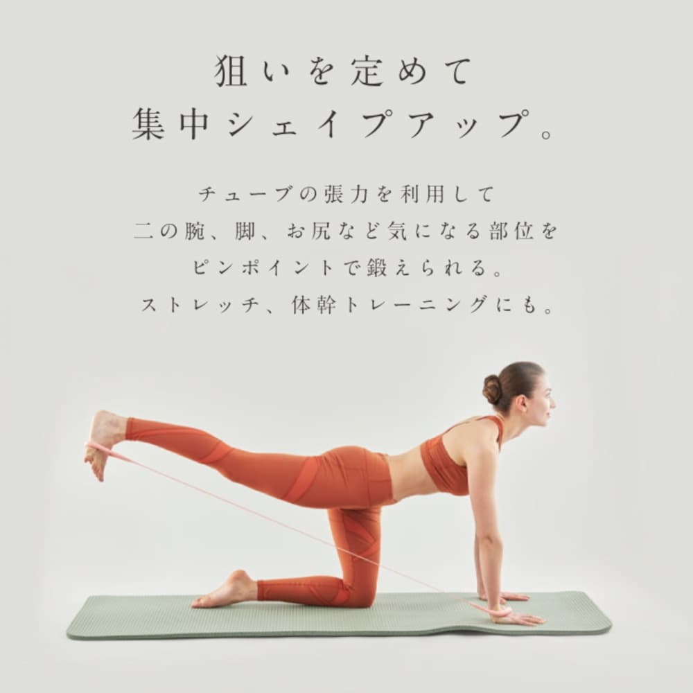アルインコ ALINCO ミヴィオス MIVIOS ハンドルチューブ ソフト 負荷9kg ピンク フィットネス エクササイズ 筋トレ ストレッチ トレーニング MVS302P | ALINCO | 04
