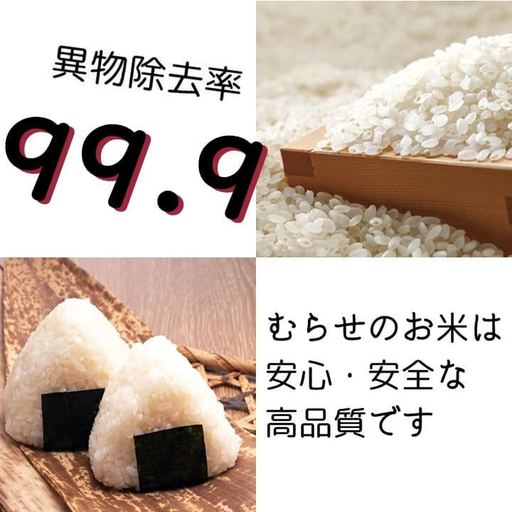 令和7年産 本場 秋田県産 あきたこまち 10kg(5kg×2袋) まとめ買い
