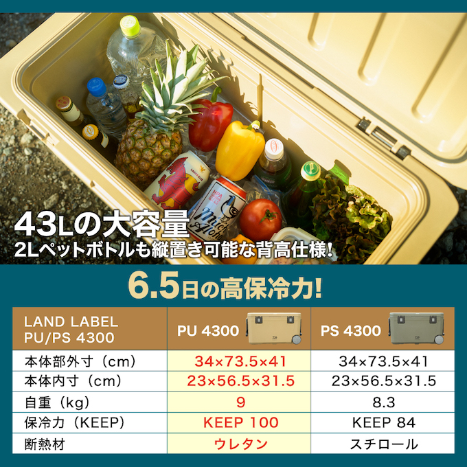 DAIWA（ダイワ） クーラーボックス 43L ランドレーベル PU4300