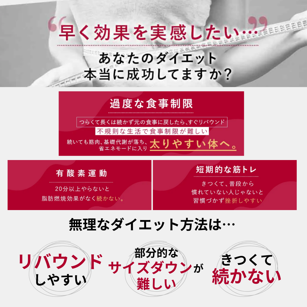セルゼロ CELLZERO セルゼロバック BAG 美顔器・スチーマー