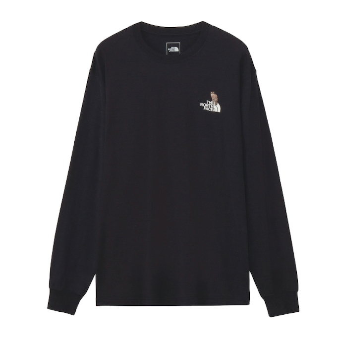 THE NORTH FACE（ザ ノースフェイス） Tシャツ 長袖 メンズ レディース