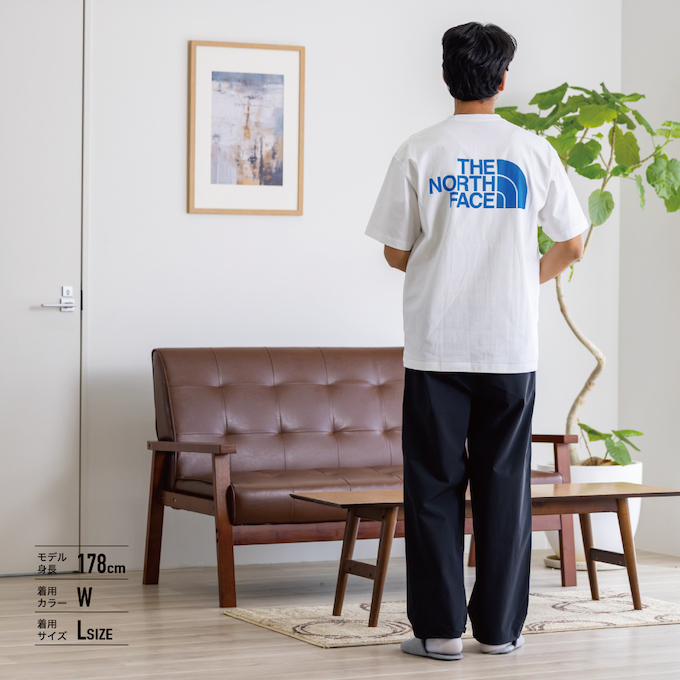 THE NORTH FACE（ザ ノースフェイス） Tシャツ 半袖 メンズ レディース