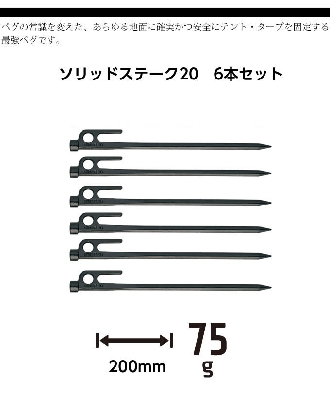 snow peak（スノーピーク） ペグ 6本セット 20cm ソリッドステーク20 R