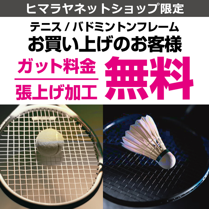 ヨネックス バドミントンラケット ナノフレア800 プロ NANOFLARE800 PRO NF-800P-269 YONEX