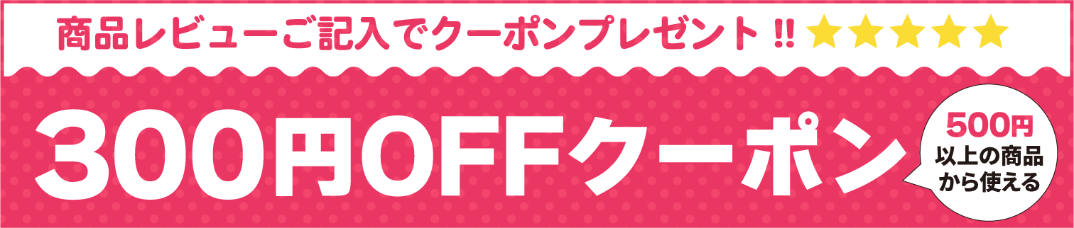 レビュー記入で300円OFF