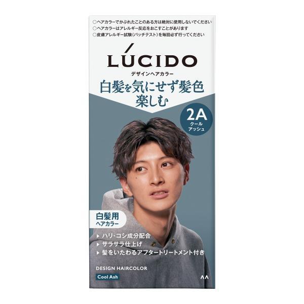 (まとめ買い×36個セット)マンダム LUCIDO ルシード デザインヘアカラー 2A クールアッシュ 白髪用 ヘアカラー 男性用 (送料無料)