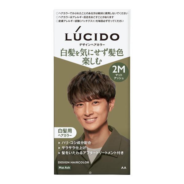 (まとめ買い×36個セット)マンダム LUCIDO ルシード デザインヘアカラー 2M マットアッシュ 白髪用 ヘアカラー 男性用 (送料無料)
