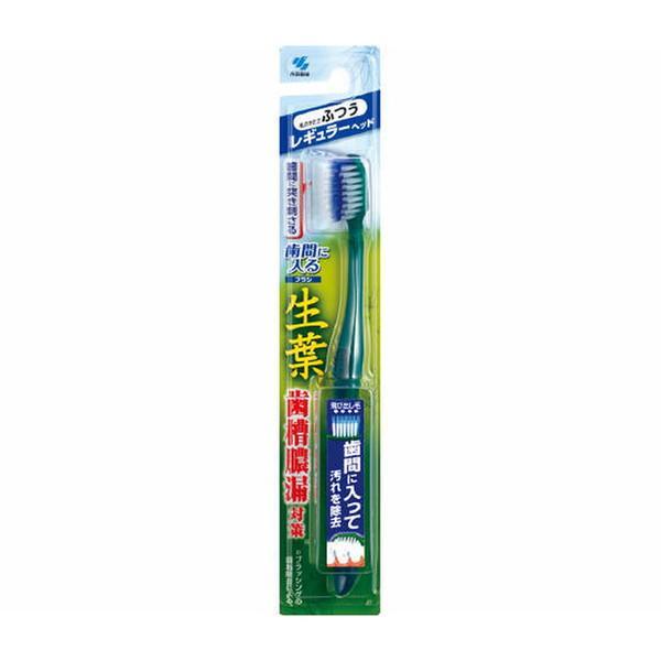 ポイント消化 (まとめ買い×3個セット)小林製薬 生葉 歯間に入るブラシ レギュラー ふつう ハブラシ ●色は選べません。 (送料無料)