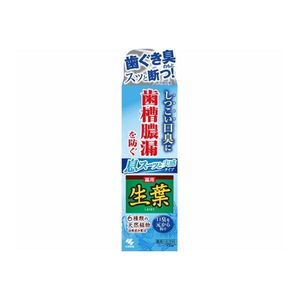 (送料無料・まとめ買い×10個セット)小林製薬 薬用 生葉 息スーッと実感 100g