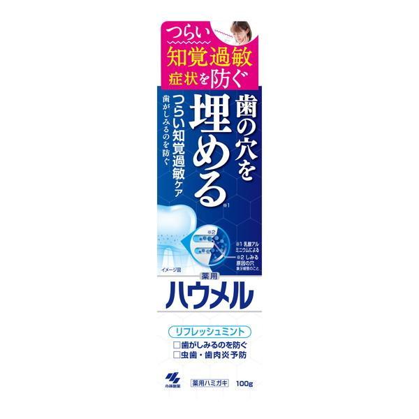 (まとめ買い×48個セット)小林製薬 ハウメル リフレッシュミント 100g 薬用ハミガキ (送料無料)