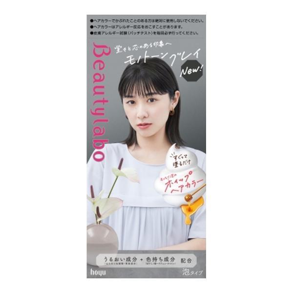 (まとめ買い×10個セット)ホーユー ビューティラボ ホイップヘアカラー モノトーングレイ 泡タイプ 医薬部外品 (送料無料)