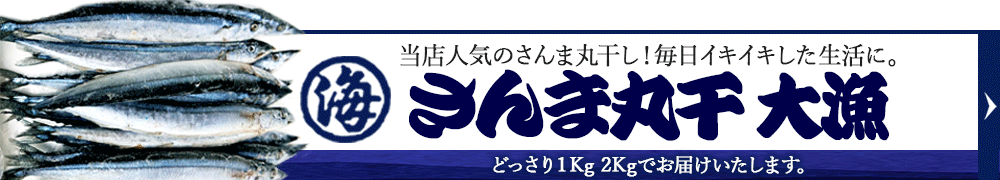 沼津干物人気のさんま丸干し