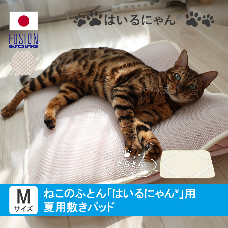☆きぬ猫様 専用ページ☆ hinatanofuton_ry0200m