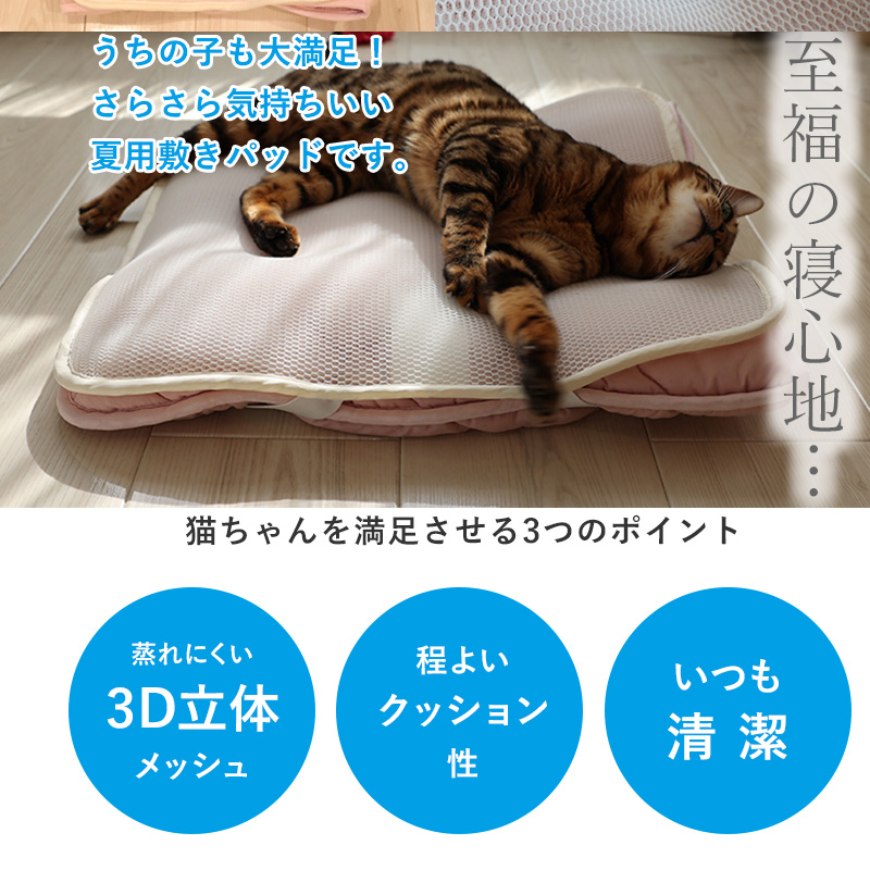 猫猫団　バットフェイス crs-online_es-1213-4