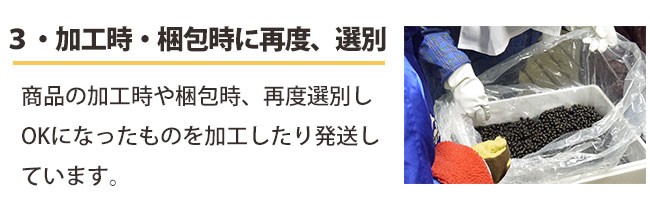 特別栽培のカシスは節減対象農薬・化学肥料不使用です