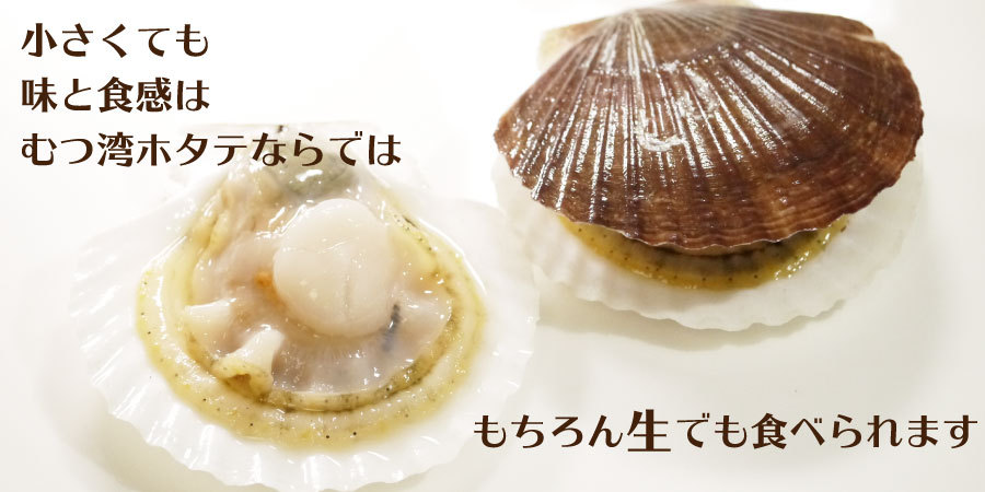 冷蔵 青森むつ湾活ベビーホタテ ほたての稚貝 約2kg 送料無料 一部地域を除く 帆立 5月限定発送 貝むき用へら1本付き Byho1 ハイネットショップヤフー店 通販 Yahoo ショッピング 冷蔵 青森むつ湾活ベビーホタテ ほたての稚貝 約2kg 送料無料 一部地域を除く 帆立 5月限定発送 貝むき用へら1本付き Byho1 ハイネットショップヤフー店 通販 Yahoo ショッピング