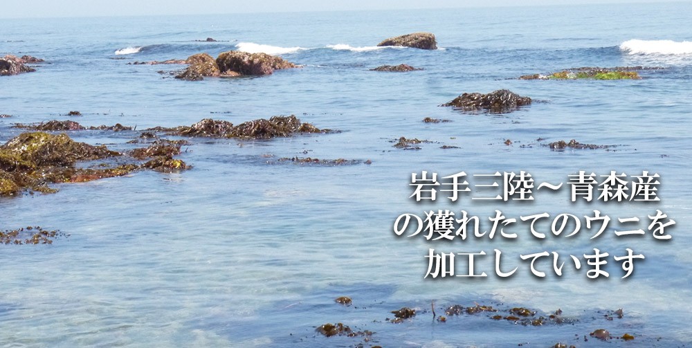 完全無添加！生ウニ牛乳瓶詰め（岩手三陸〜青森産キタムラサキウニ）うに　生うに