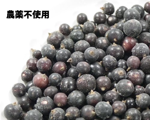 冷凍）国産冷凍カシス果実（青森県産・農薬不使用・山田さん）約1kg