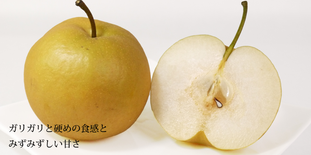 長十郎梨 [家庭用/サイズ混合]青森県産 約3kg（6〜10玉）ちょうじゅう